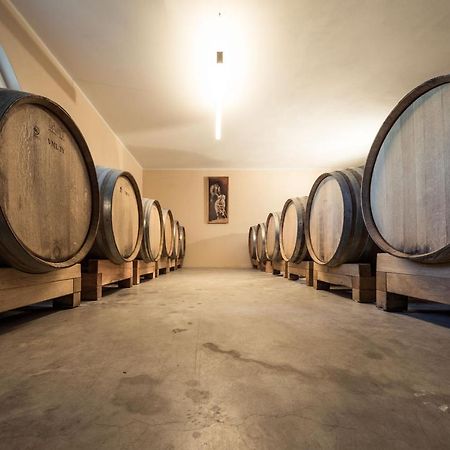 Weingut Dona Villa Appiano Sulla Strada Del Vino Bagian luar foto