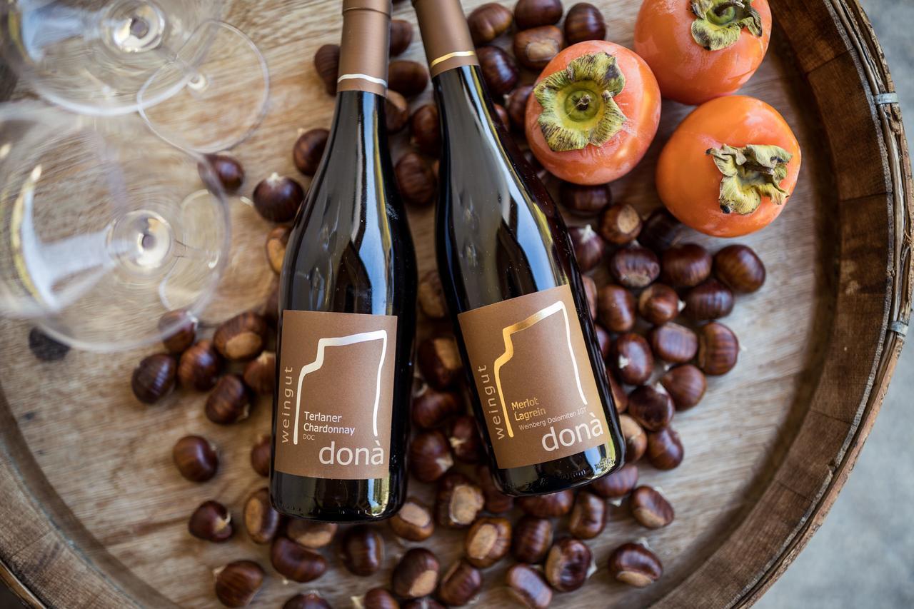 Weingut Dona Villa Appiano Sulla Strada Del Vino Bagian luar foto
