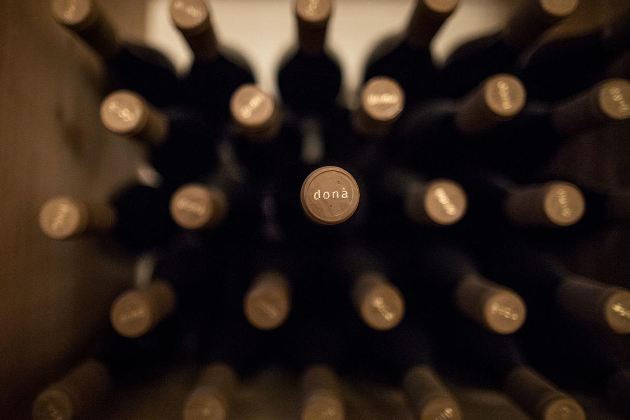 Weingut Dona Villa Appiano Sulla Strada Del Vino Bagian luar foto